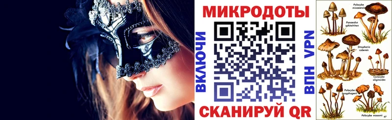 купить наркоту  Шиханы  Галлюциногенные грибы Cubensis 